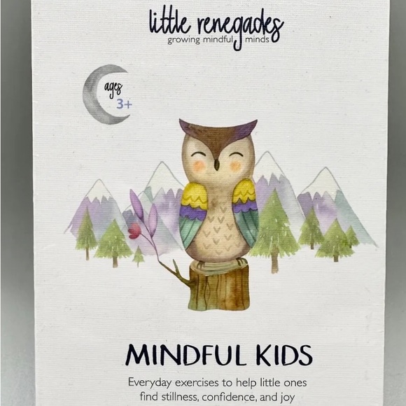 Little Renegades Mindful kids 40 affirmation cards - Picture 12 of 13